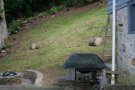 yard space before landscape design and install