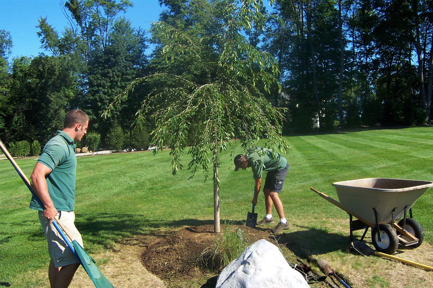 Expert Planting Knowledge | YardScapes | New Milford, CT | 860-350-2737