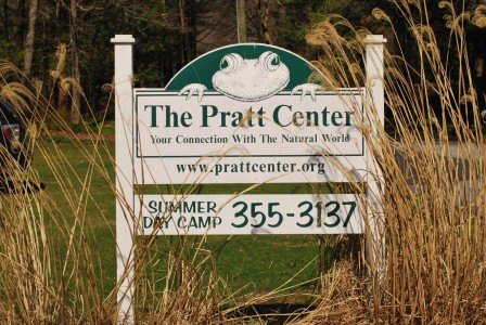 2015-04-22 10.41.01a