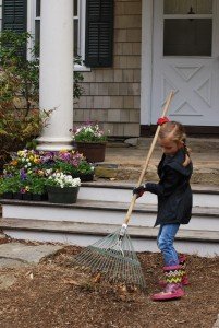 2015-04-22 10.54.53a