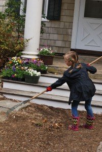 2015-04-22 10.54.57a