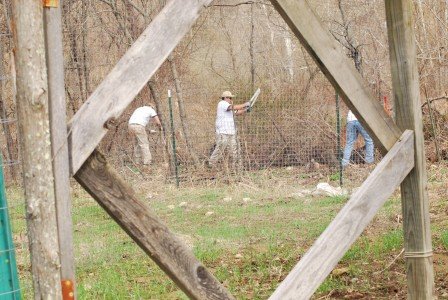 2015-04-22 11.05.39a