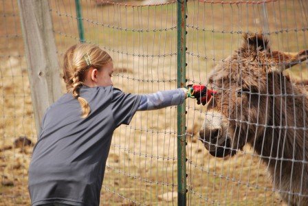 2015-04-22 11.28.18a