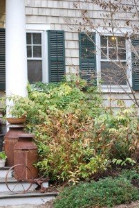 2015-04-22 11.50.11a