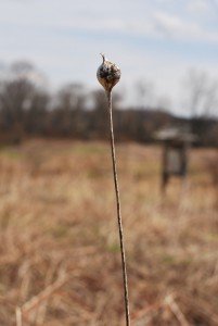 2015-04-22 13.07.30a