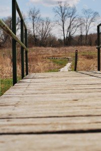 2015-04-22 13.09.03a