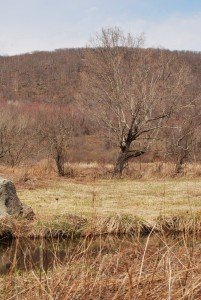 2015-04-22 13.09.57a