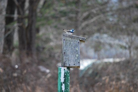 2015-04-22 13.13.03a