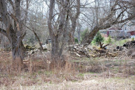 2015-04-22 13.16.25a