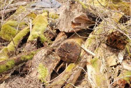 2015-04-22 13.32.38a