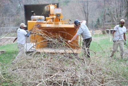 2015-04-22 13.36.53a