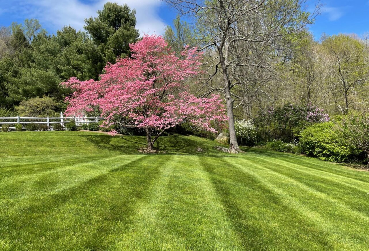 Lawn Mowing Maintenance Contract | YardScapes | Litchfield & Fairfield Counties | 860-350-2737
