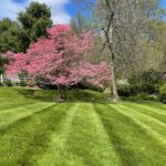 Lawn Mowing Maintenance Contract | YardScapes | Litchfield & Fairfield Counties | 860-350-2737