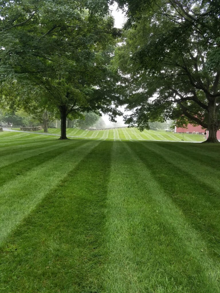 Lawn Mowing Professionals | YardScapes | Litchfield & Fairfield Counties | 860-350-2737