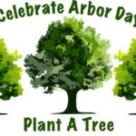 Celebrate Arbor Day - Plant a tree!