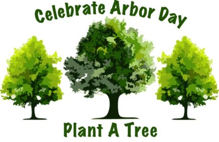 Celebrate Arbor Day - Plant a tree!