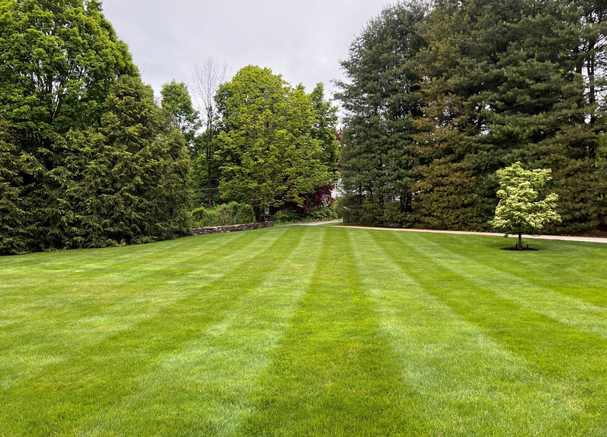 Lawn Mowing | YardScapes | New Milford, CT