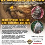 Spring Prep - The Next Steps - ct wildlife is dying