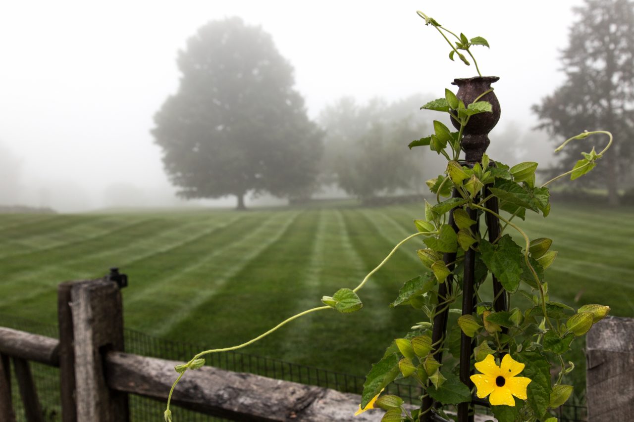 Lawn Mowing Service, New Milford, Litchfield County, CT