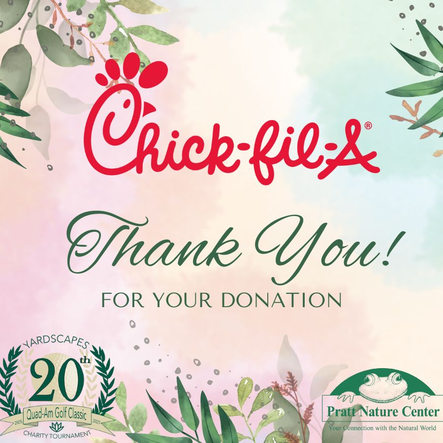 Chick Fil A Thank You