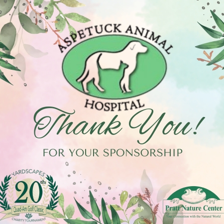 10 Aspetuck Animal Thank You