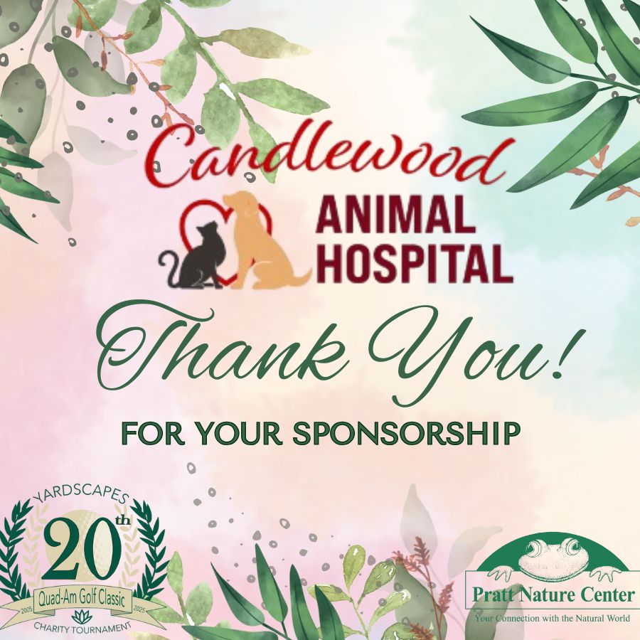 Candlewood Animal Hospital