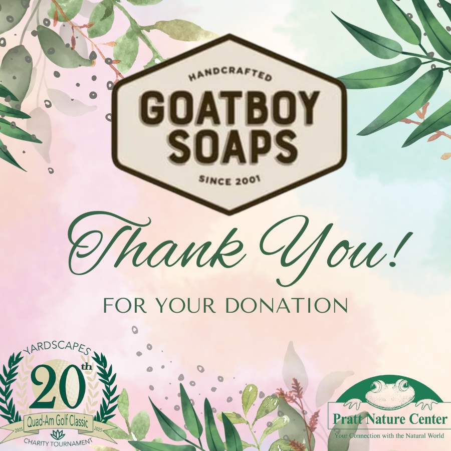 Goatboy Soap