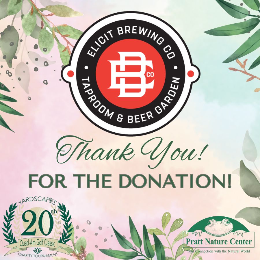 26 Elicit Brewing Thank You