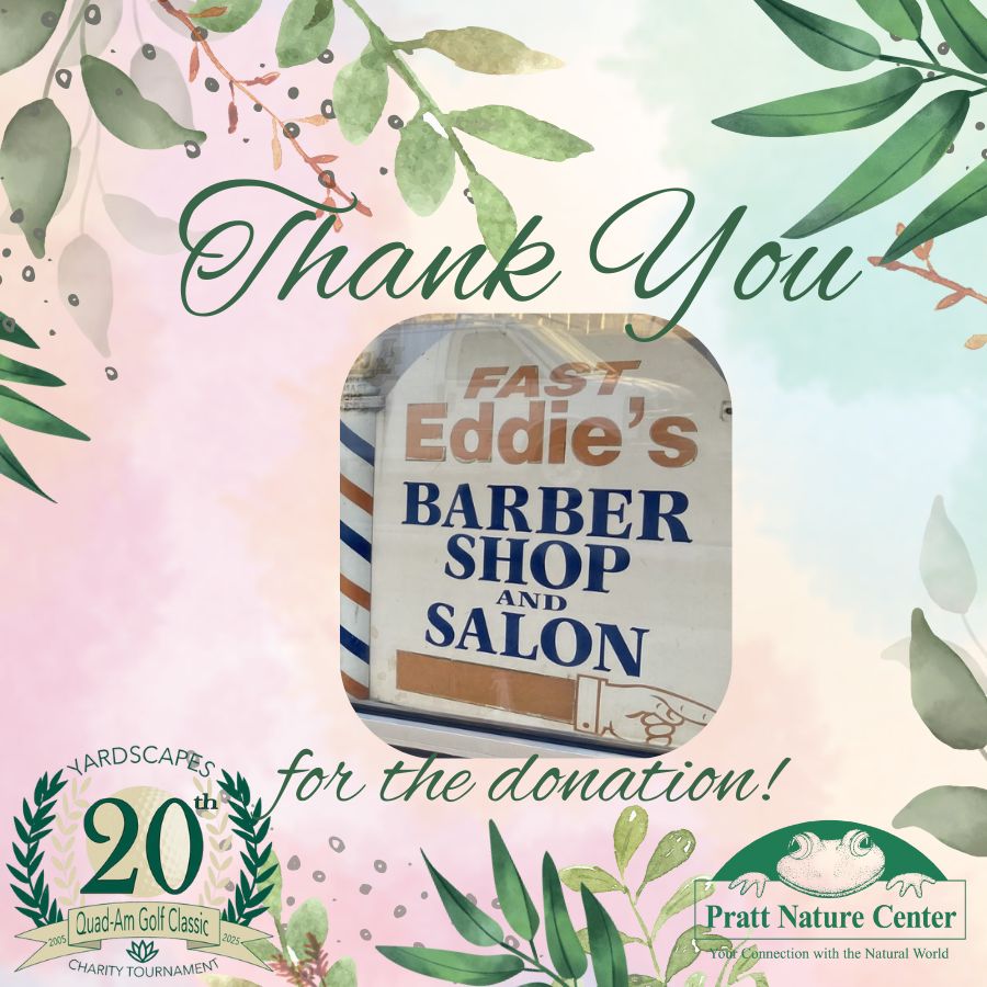 10 Fast Eddies Thank You