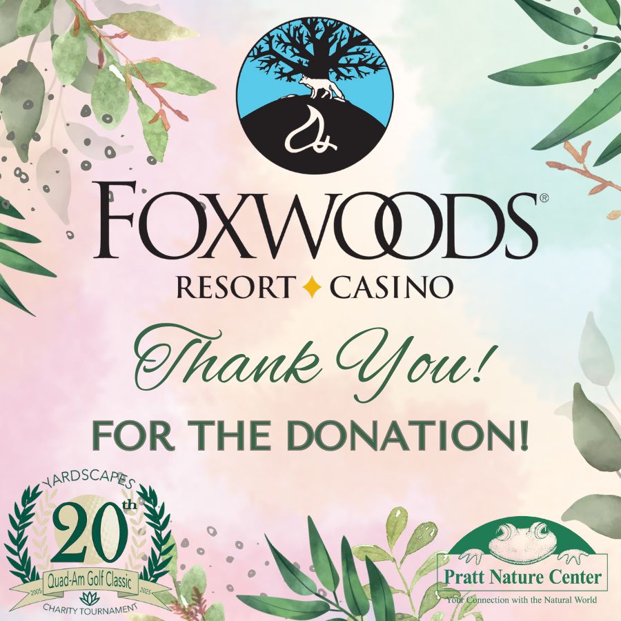 31 Foxwoods