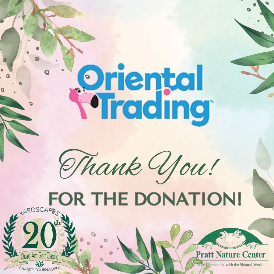 34 Oriental Trading Co