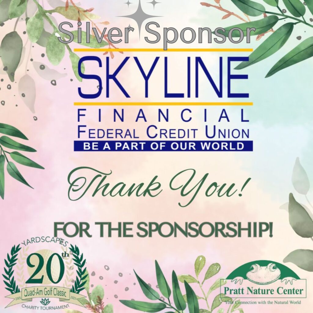 35 Skyline Financial FCU