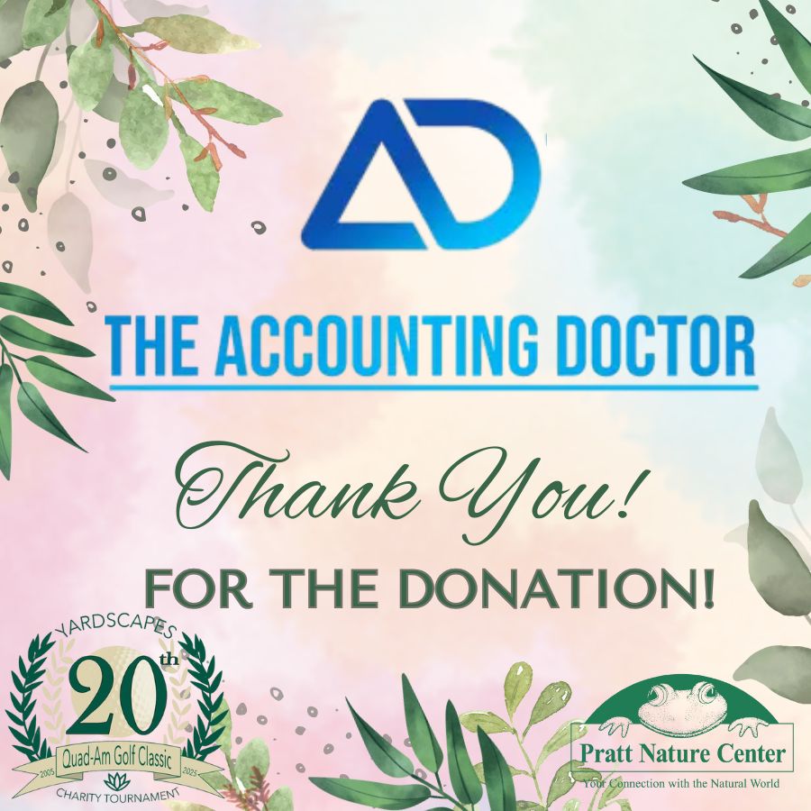 35 The Accounting Doctor