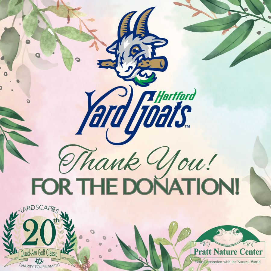 38 Hartford Yard Goats