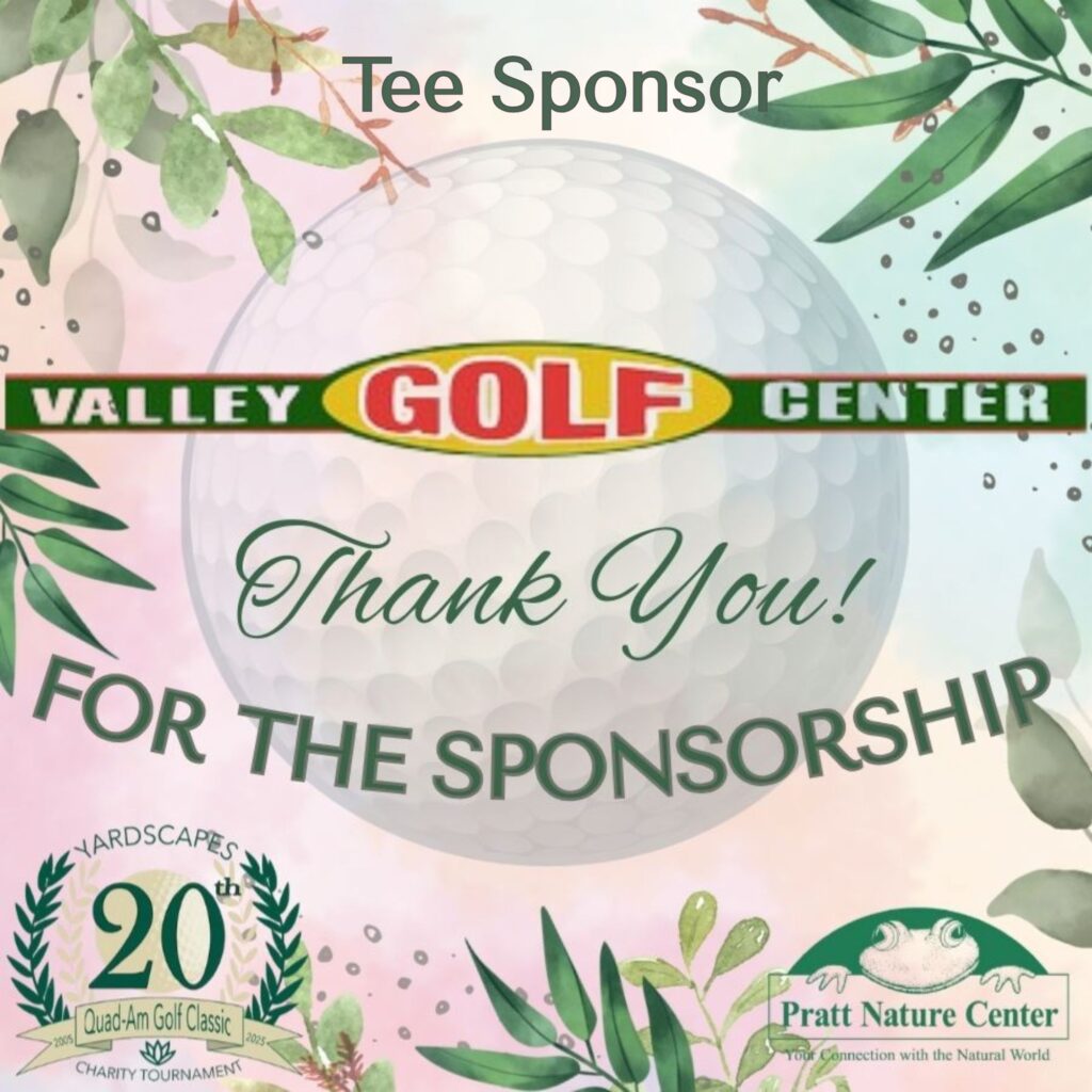 39 Valley Golf Center