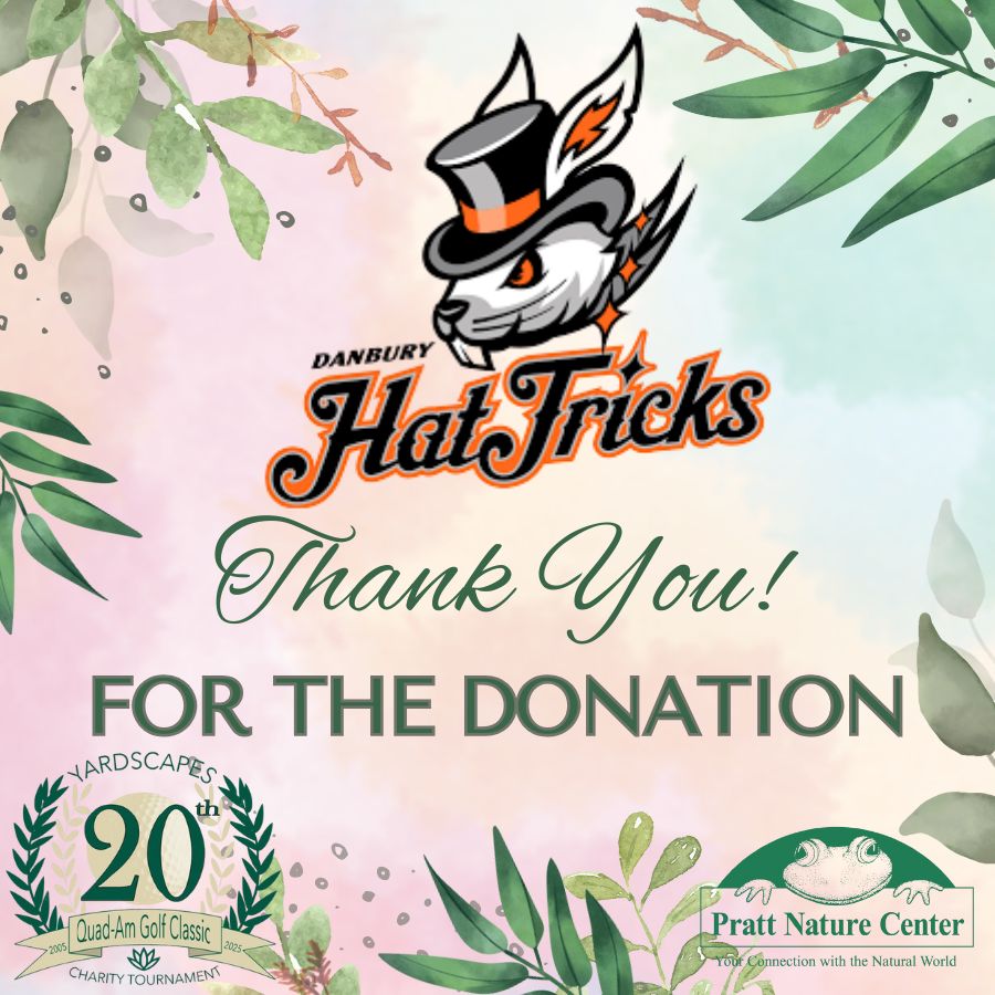 40 Danbury Hat Tricks