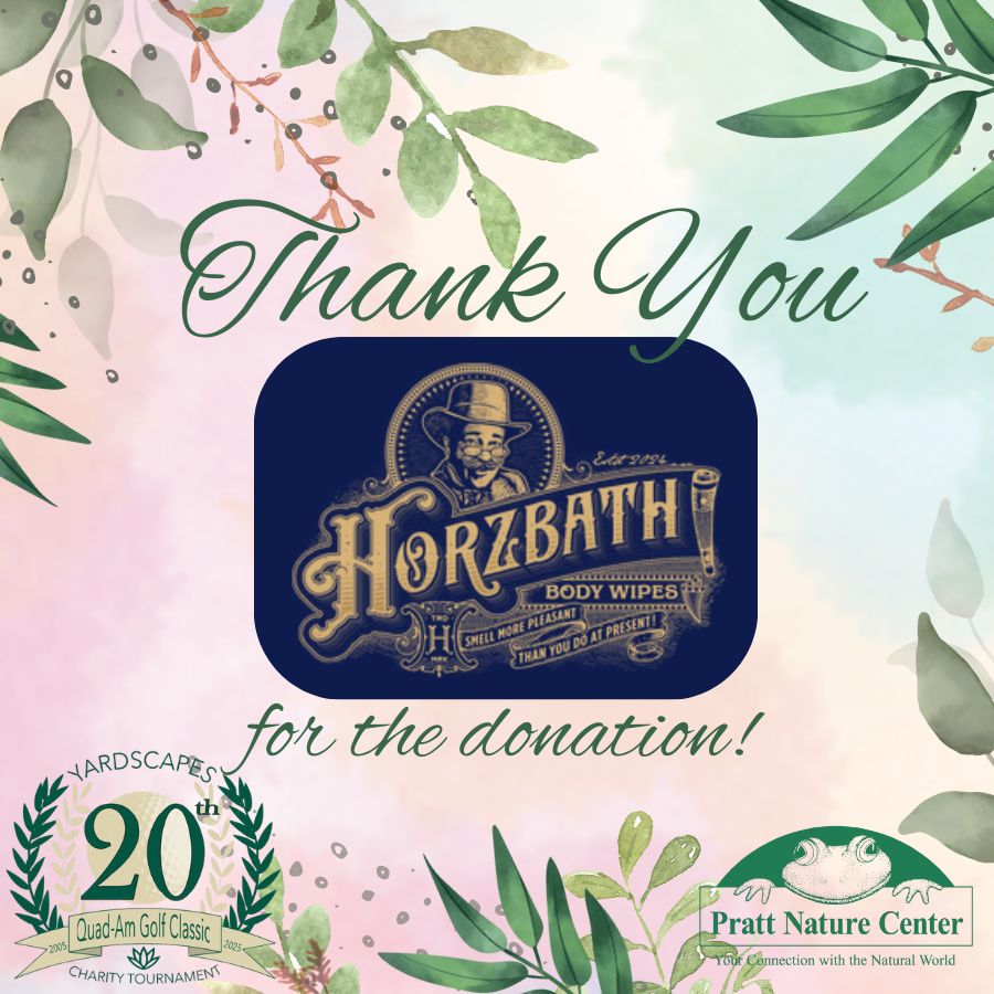 14 Horzbath Thank You