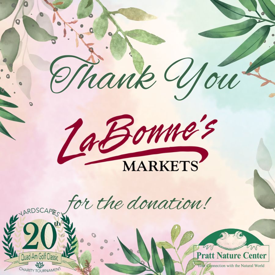 20 LaBonnes Thank You