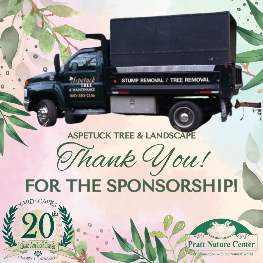 30 Aspetuck Tree 2025