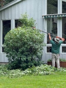 a YardScapes field staff member pruned and trims a small tree next to a house to shape it nicely