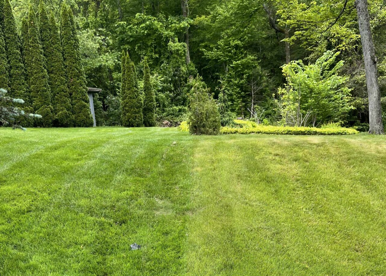 Expert Lawn Care Litchfield CT