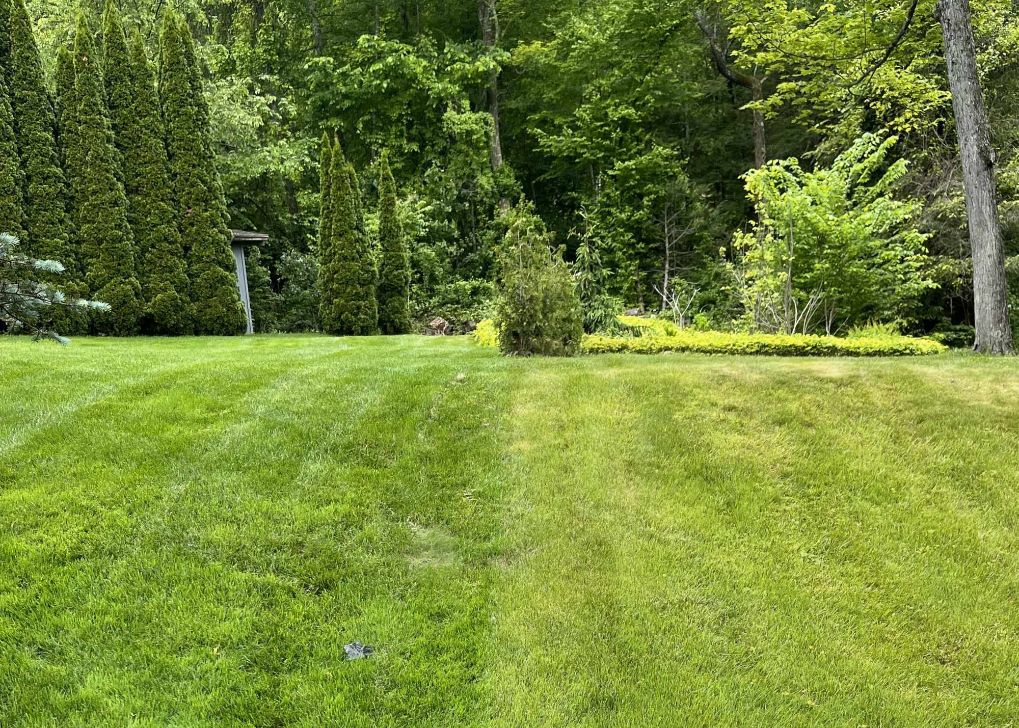 Expert Lawn Care Litchfield CT