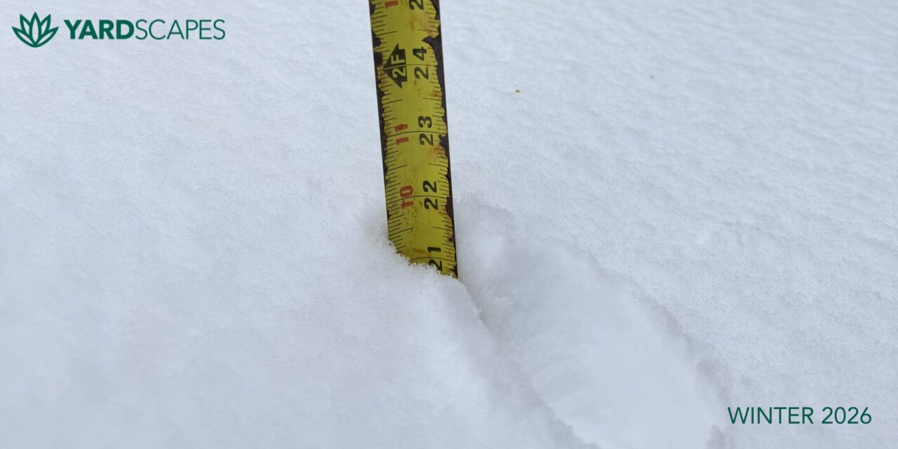TWO FEET OF SNOW IN LITCHFIELD COUNTY CT WINTER 2026
