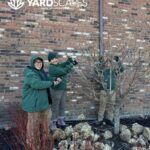 Dormant Pruning New Milford, Lichfield County CT