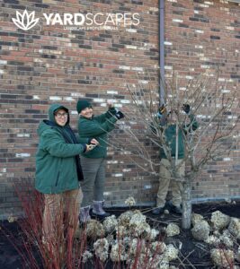 Dormant Pruning New Milford, Lichfield County CT